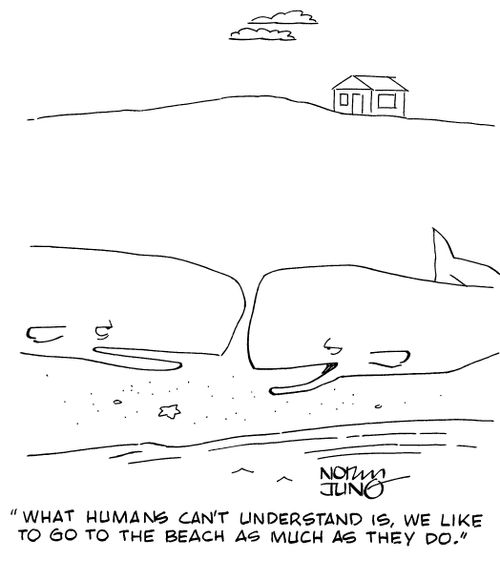 "What humans can't understand is, we like to go to the beach as much as they do."