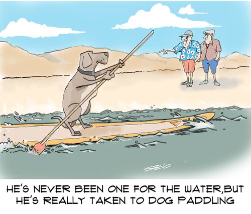 He's never been one for the water, but he's really taken to dog paddling.