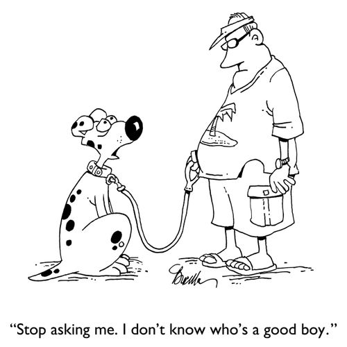 "Stop asking me. I don't know who's a good boy."