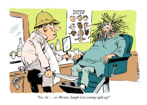 "Yes, Sir. . . or Ma'am. Jungle cut coming right up!"