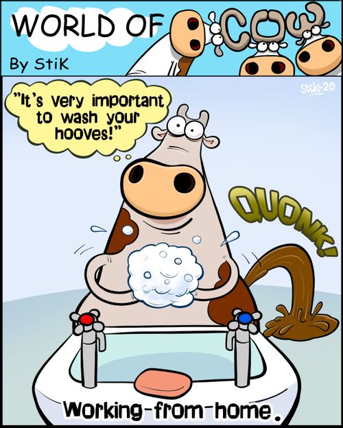 "It's very important to wash your hooves!"