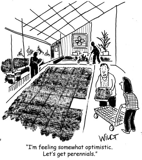 "I'm feeling somewhat optimistic. Let's get perennials."
