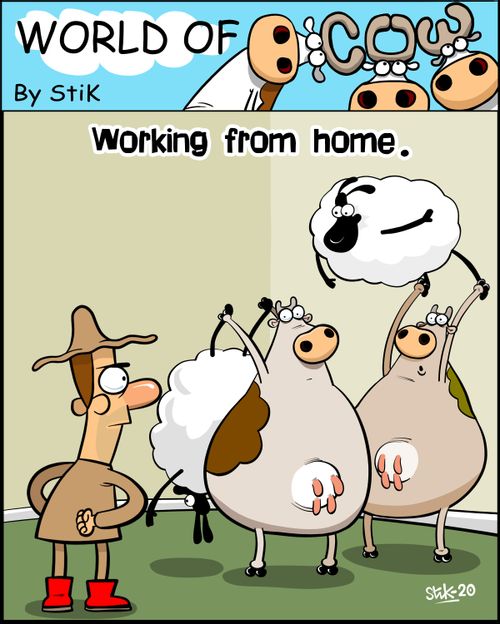Working from home