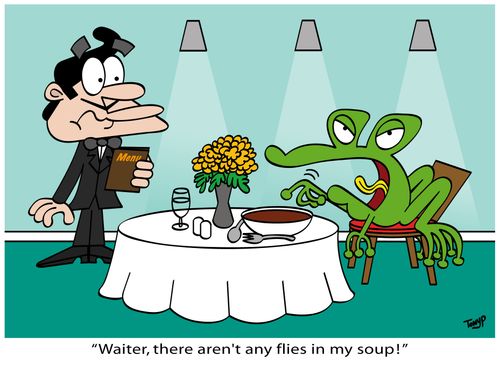 "Waiter, there aren't any flies in my soup!"