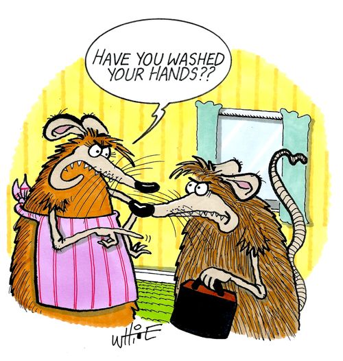 "Have you washed your hands..?"