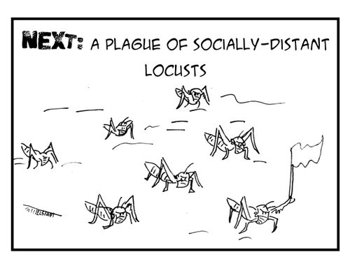 A Place of Socially-Distant Locusts