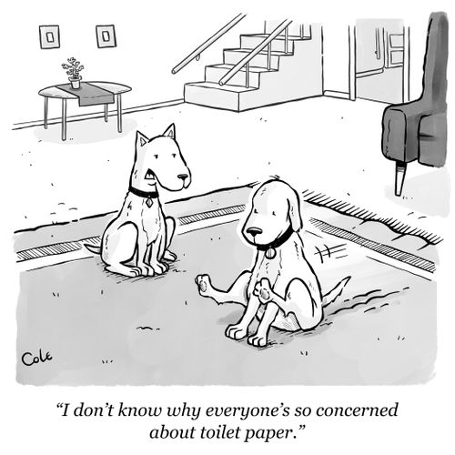 "I don't know why everyone's so concerned about toilet paper."