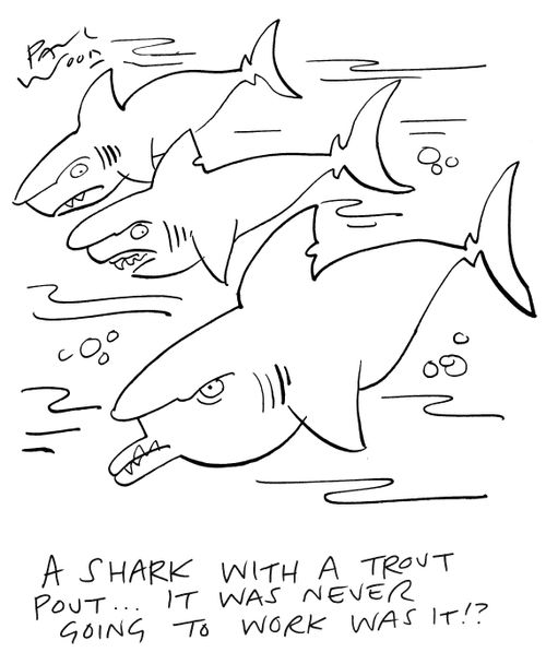 "A shark with a trout pout...it was never going to work was it!?"