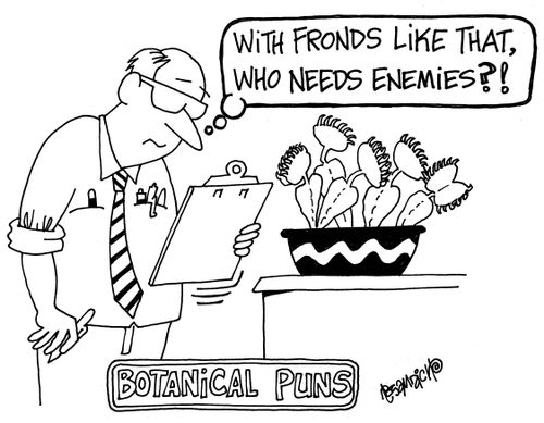 Botanical Puns