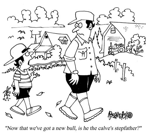 "Now that we've got a new bull, is he the calve's stepfather?"