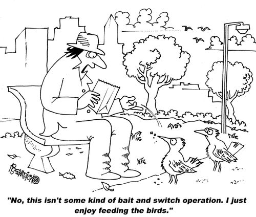 "No, this isn't some kind of bait and switch operation. I just enjoy feeding the birds."