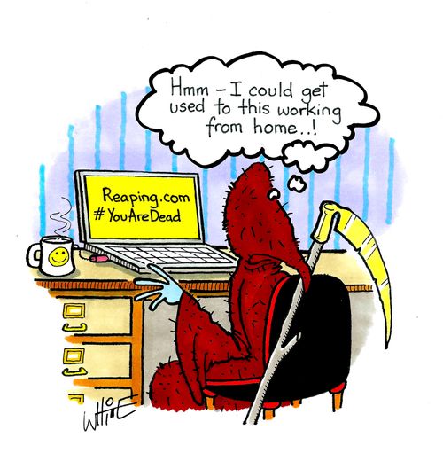 "Hmmm - I could get used to this working from home. . .!"