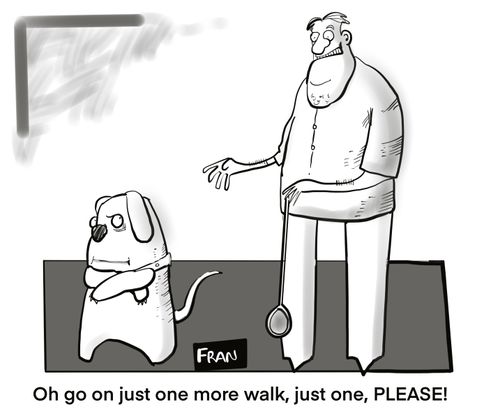 "Oh go on just one more walk, just one, please!"