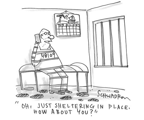 "Oh, just sheltering in place, how about you?"