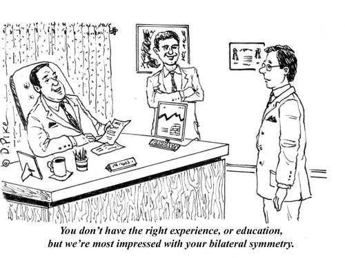 "You don't have the right experience, or education, but we're most impressed with your bilateral symmetry."