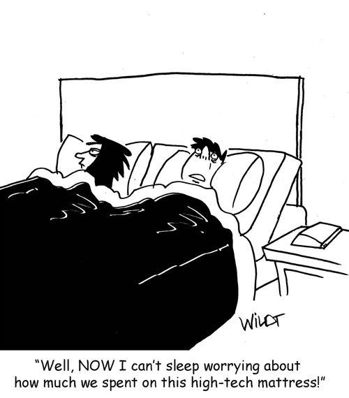 "Well, NOW I can't sleep worrying about  how much we spent on this high-tech mattress!"