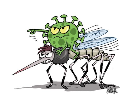 The Perfect Dengue Storm and Coronavirus