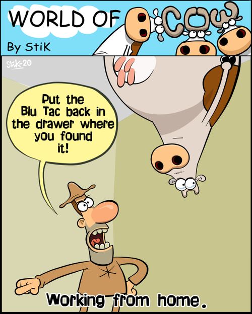 "Put the Blu Tac back in the drawer where you found it!"