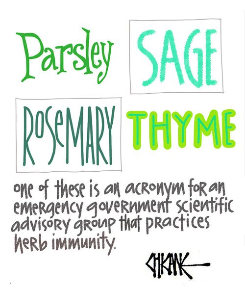 Parsley, Sage, Rosemary, Thyme: One of these is an acronym for an emergency government scientific advisory group that practices herb immunity.