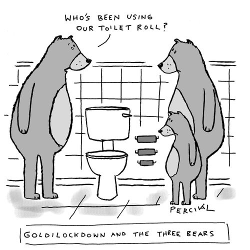 Who's been using our toilet roll?