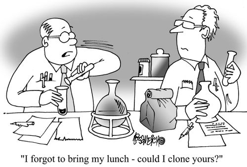 "I forgot to bring my lunch - could I clone yours?"