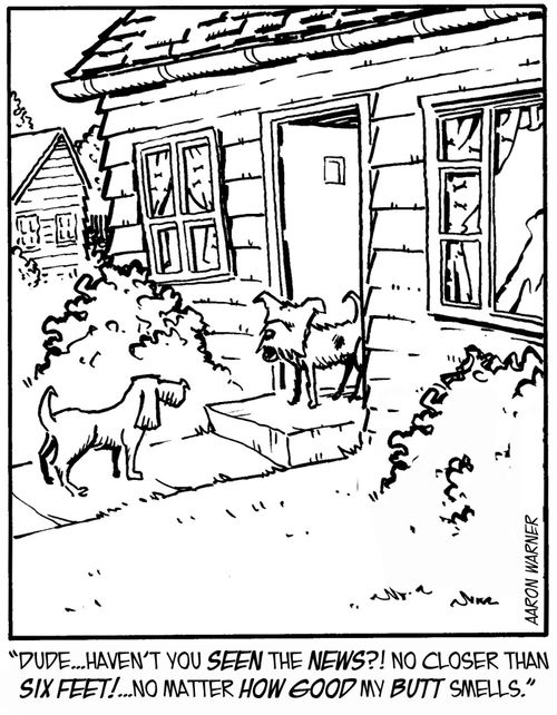 "Dude. . . haven't you seen the news?! No closer than six feet!. . . No matter how good my butt smells."
