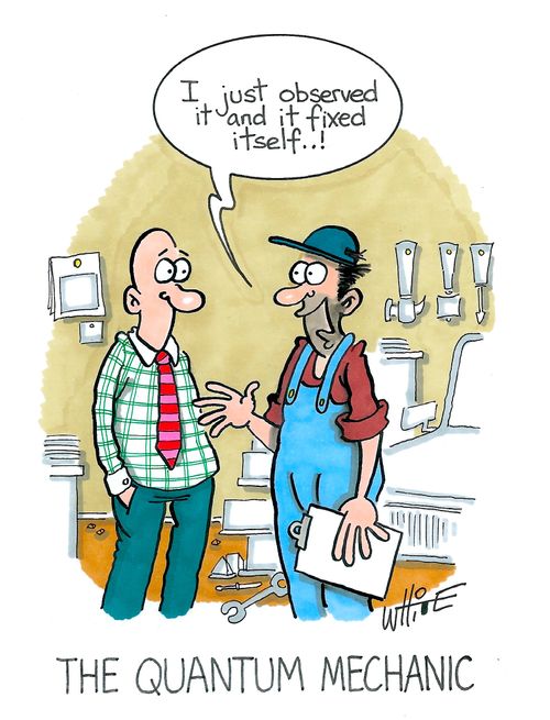 The Quantum Mechanic...