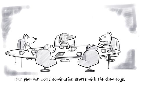 "Our plan for world domination starts with the chew toys."