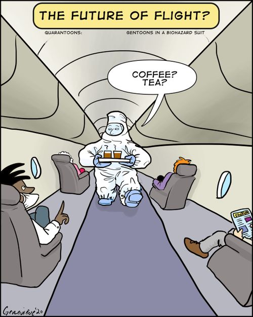The Future of Flight?