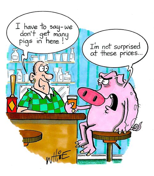 "I have to say - we don't get may pigs in here!"