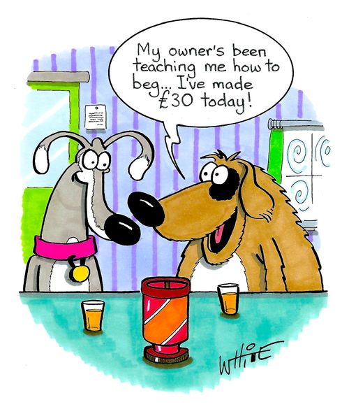 "My owner's been teaching me how to beg. . . I've made £30 today!"