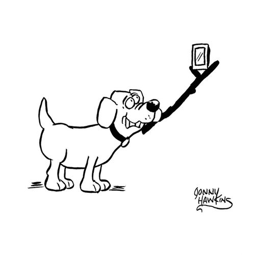 Dog has selfie stick in mouth