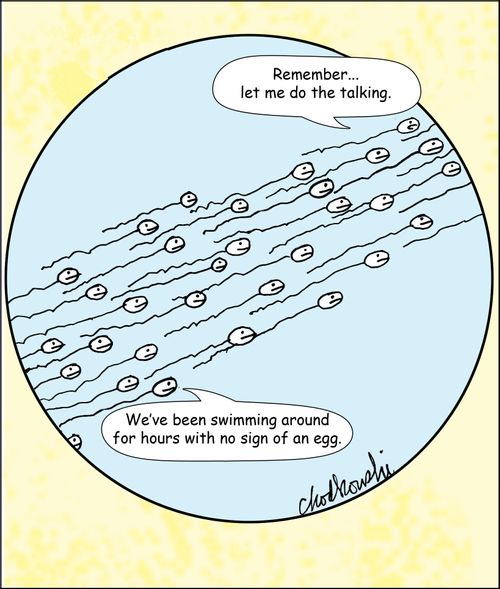 "We've been swimming around for hours with no sign of an egg."