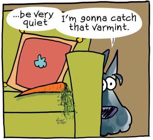 ". . . be very quiet. . . I'm gonna catch that varmint."