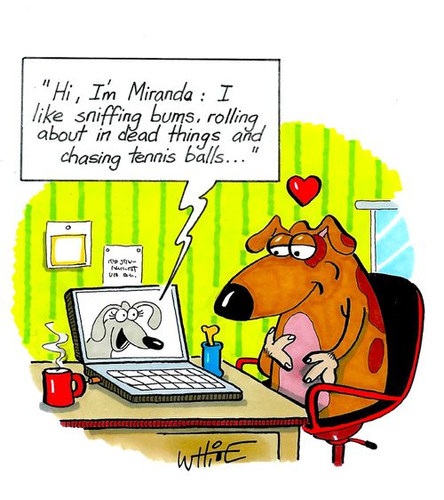 "Hi, I'm Miranda: I like sniffing bums, rolling about in dead things and chasing tennis balls. . ."