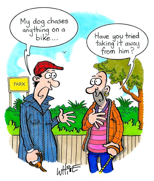 "My dog chases anything on a bike. . ."