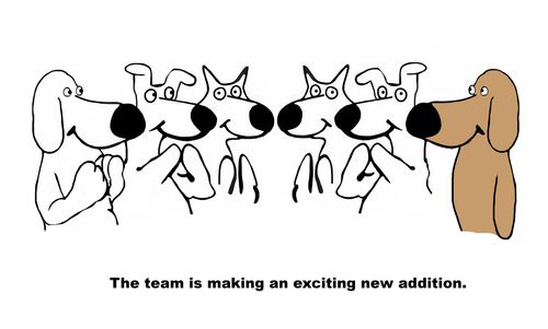 The team is making an exciting new addition.