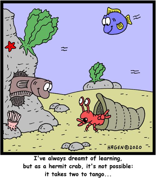"I've always dreamt of learning, but as a hermit crab, it's not possible: it takes two to tango..."