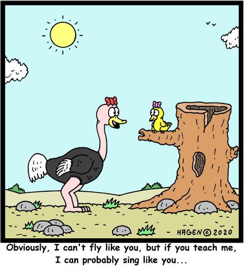 "Obviously, I can't fly like you, but if you teach me, I can probably sing like you..."