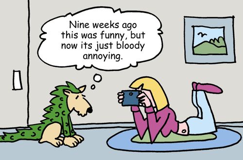 "Nine weeks ago this was funny, but now its just bloody annoying." 
