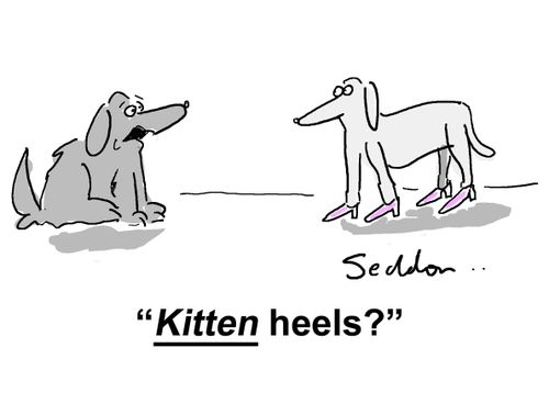 "Kitten heels?"