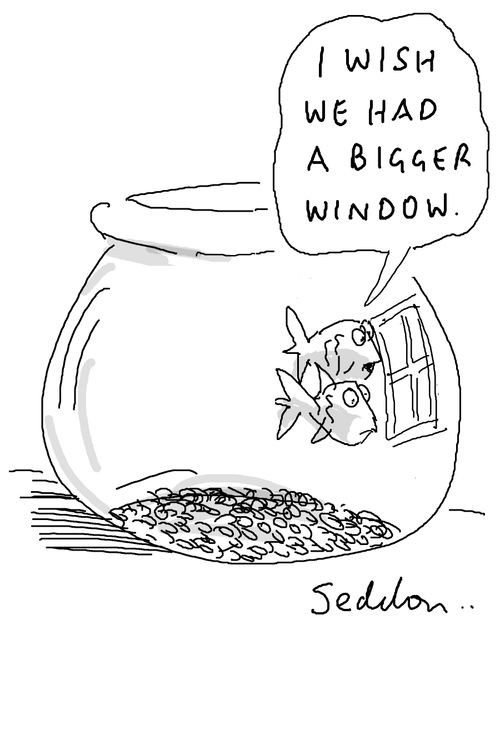"I wish we had a bigger window."