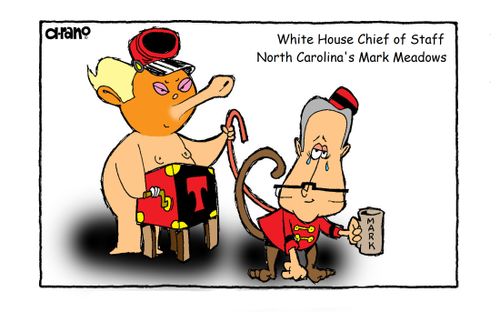 Mark Meadows