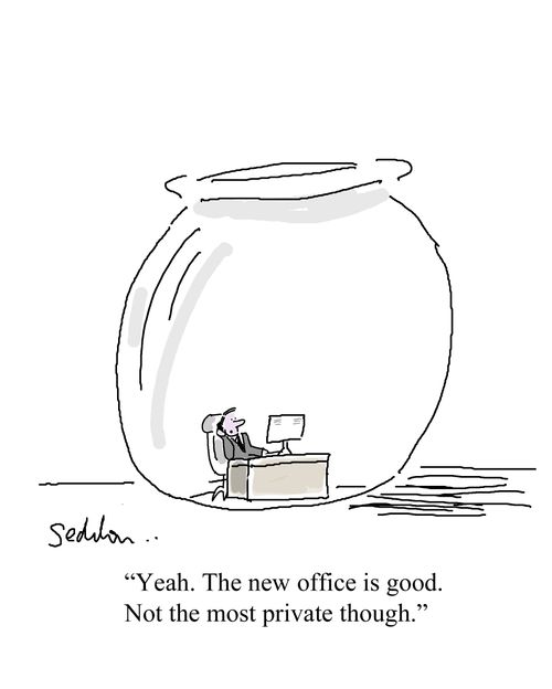 "Yeah. The new office is good. Not the most private though."
