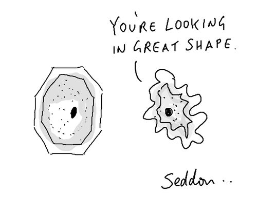 "You're looking in great shape."
