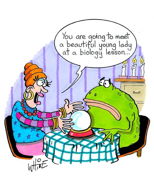 "You are going to meet a beautiful young lady at a biology lesson. . ."