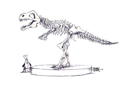 Bones