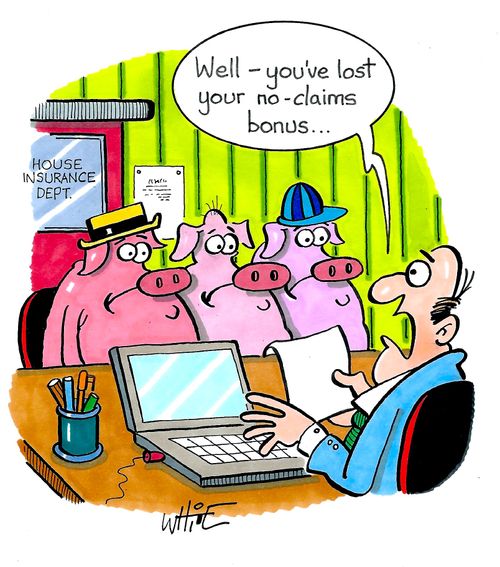 "Well - you've lost your no-claims bonus. . ."