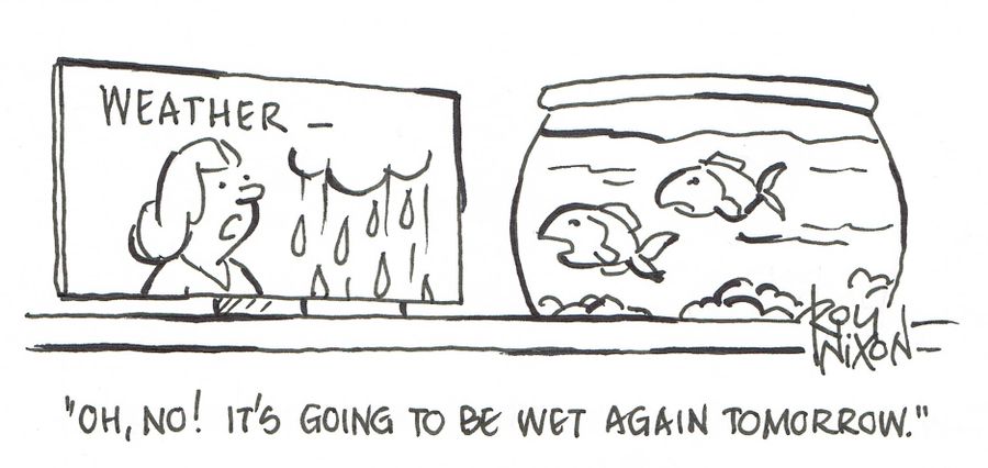 "Oh, no! It's going to be wet again tomorrow."