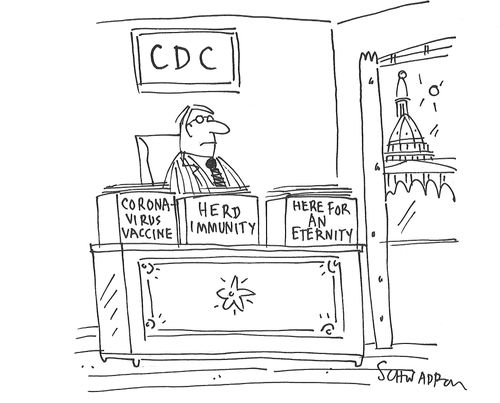 Coronavirus projections...